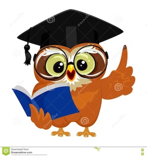 Owl with graduation hat, glasses and book