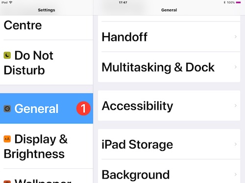 Screenshot - Settings, General, Accesibility