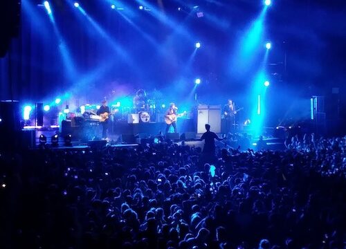 The Kooks