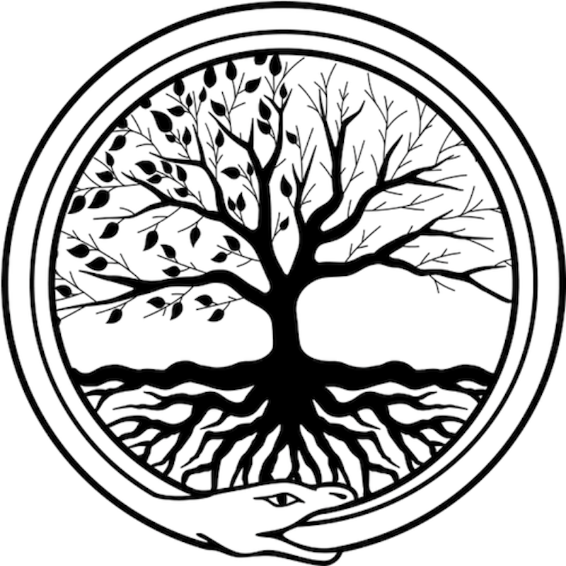 Lifecycle